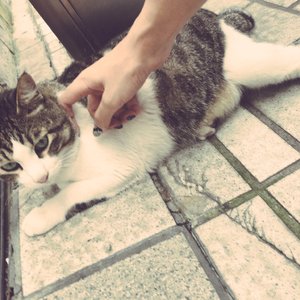 刘飞儿早期写真图片
