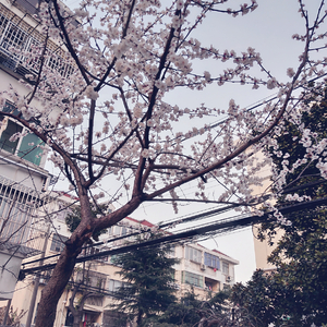 刘飞儿早期写真图片
